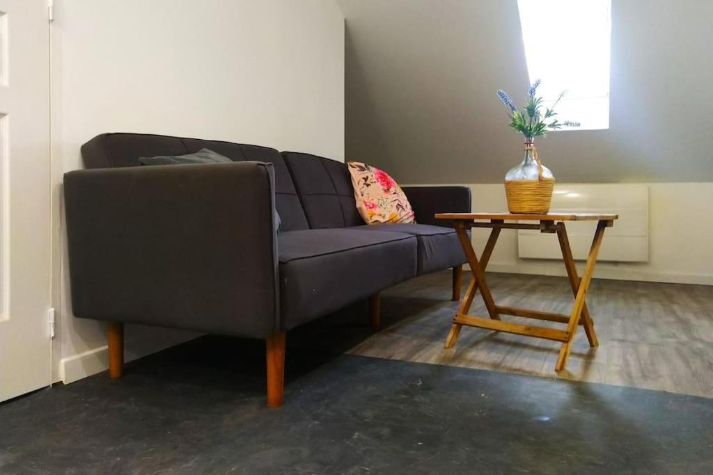 Le Cours Foucault - 3 Appartements - 8 Couchages 몽토방 외부 사진